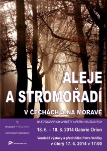Aleje a stromoradi