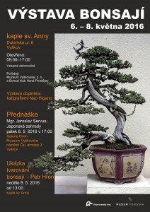 Výstava bonsají