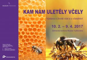 Kam nám uletěly včely